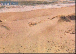 Areia