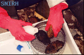 Macro-invertebrados
