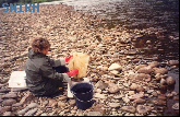 Macro-invertebrados