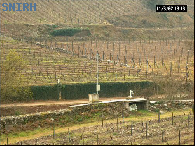 Quinta Castelo Borg�es, imagem exemplo.